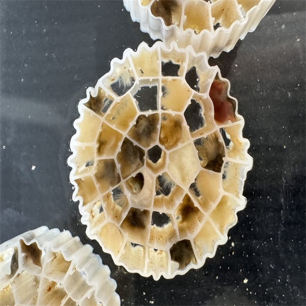 reaktor z biofilmom z gibljivo posteljo mbbr tehnologija-3.jpg